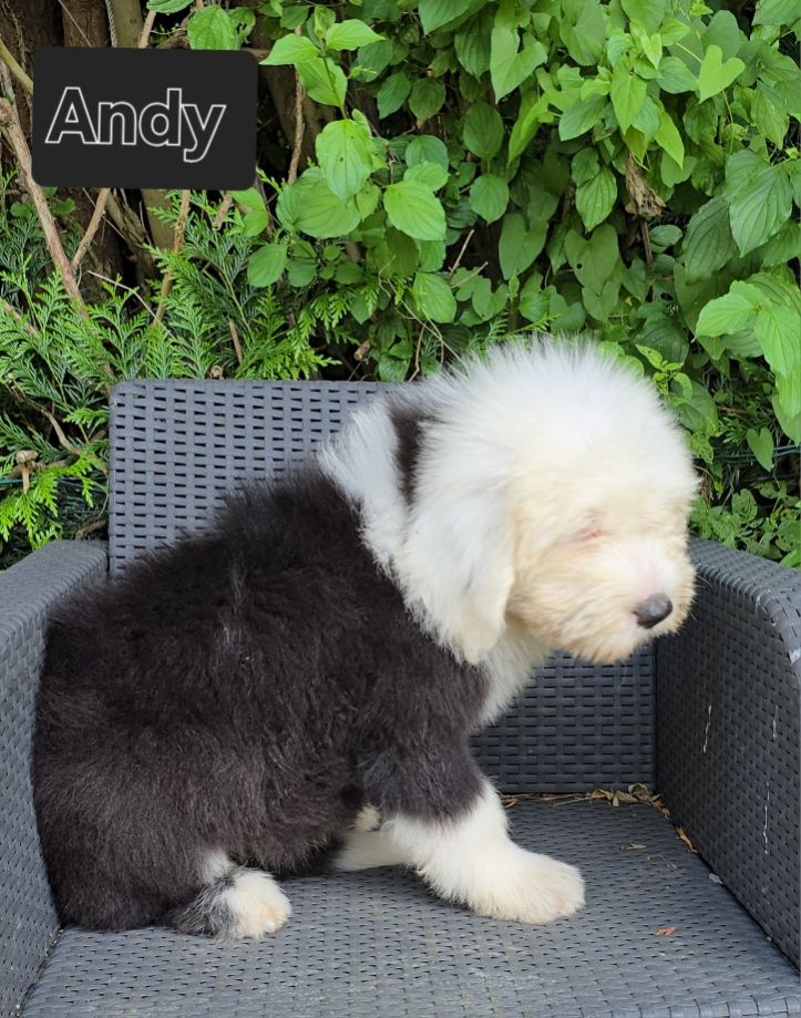 andy est prêt à partir